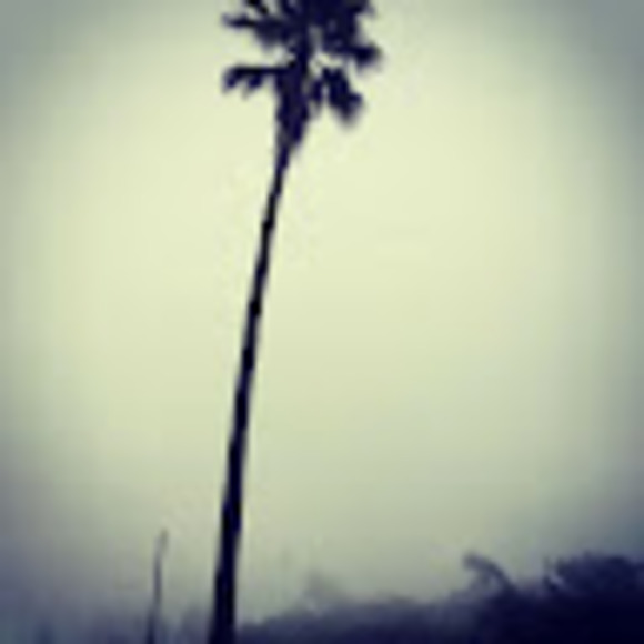 Meet your Posher, Raul - Picture 1 of 1